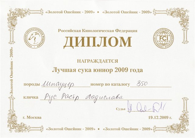 Лучший юниор породы, Рус-Растр Ладислава "Золотой ошейник-2009"